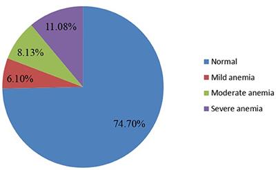 Magnitude of Anemia and Its Associated Factors Among Pregnant Women Attending Antenatal Care in Hiwot Fana Specialized University Hospital in Eastern Ethiopia